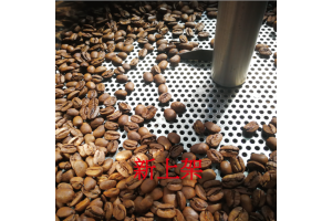 新上架 New Arrival