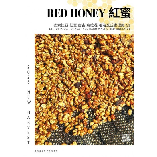衣索比亞 古吉 烏拉嘎 哈洛瓦丘處理廠 紅蜜處理 G1 衣索比亞 古吉 烏拉嘎 哈洛瓦丘處理廠 紅蜜處理 G1