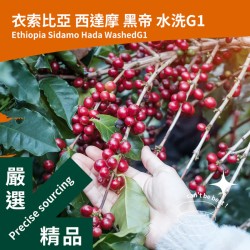 衣索比亞 水洗 西達摩 黑帝 G1